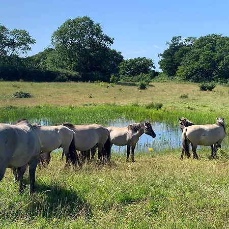 Alte Abnahme Alojamento de Turismo Rural